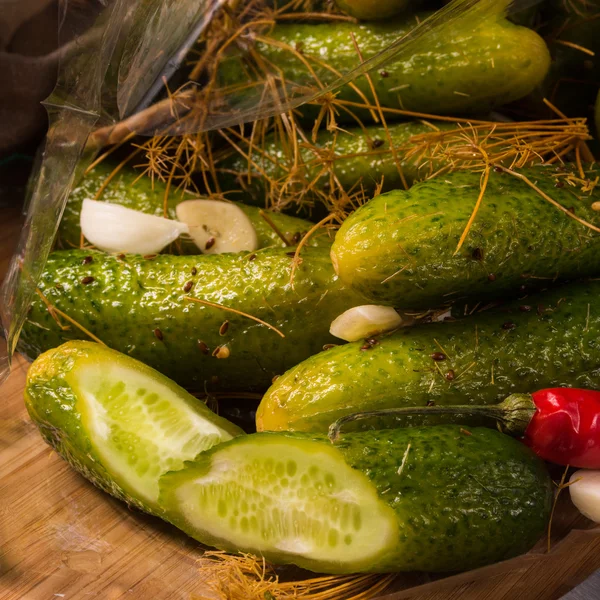 Salt cucumbers briefly stored — Stock Image Salt cucumbers briefly stored Stock Image