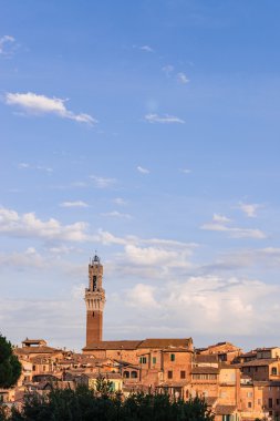 Siena city üzerinde göster