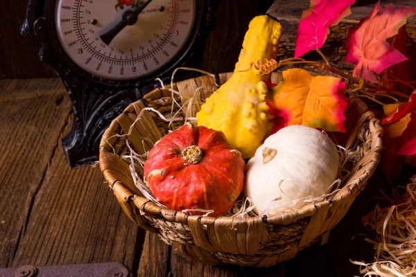 Cornucopia. Almuerzo de otoño —  Fotos de Stock