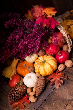 Bereket. Sonbahar brunch