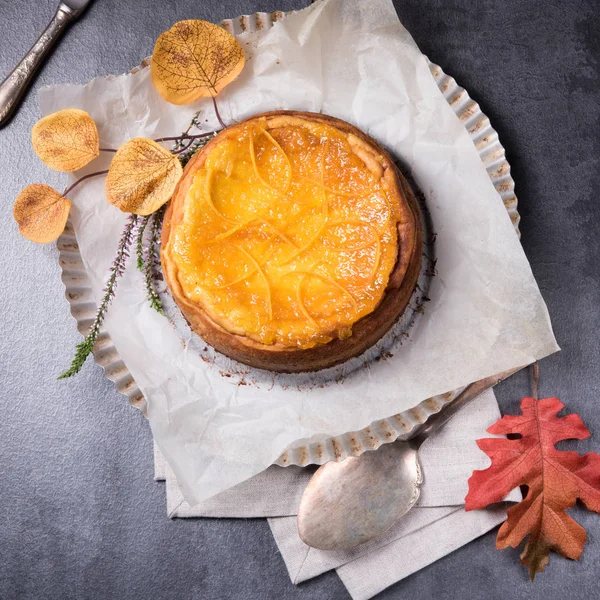 Bolo de queijo de abóbora — Fotografia de Stock