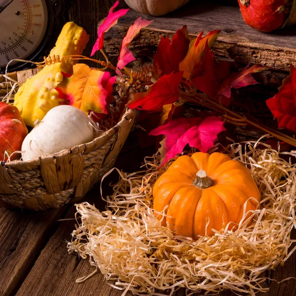 Осенние украшения на деревянном столе — стоковое фото