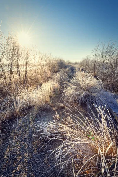 Landcape East Frisia — Zdjęcie stockowe