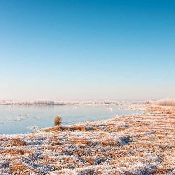 East Frisia landscape — Stock Photo, Image
