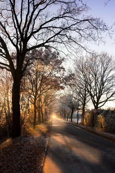 Frisia orientale al mattino d'inverno — Foto Stock