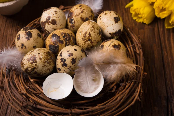 Påskägg och påskliljor — Stockfoto