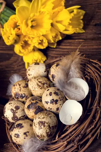 Påskägg och påskliljor — Stockfoto