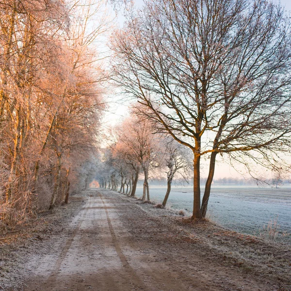 East Frisia park — Stock Photo, Image