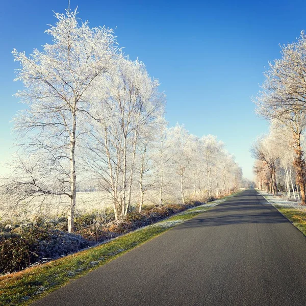 East Frisia park — Stock Photo, Image