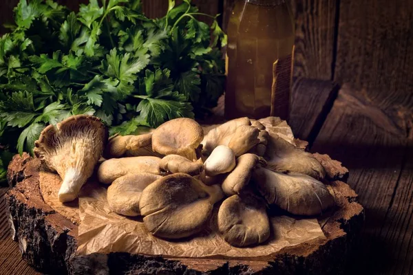 Cogumelos de outono crus — Fotografia de Stock