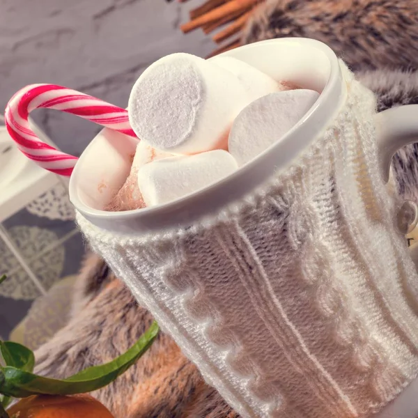 Varm sjokolade med marshmallows – stockfoto