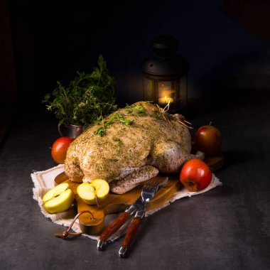 Doldurulmuş taze ördek