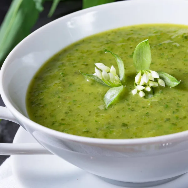 Sopa de ajo silvestre — Foto de Stock