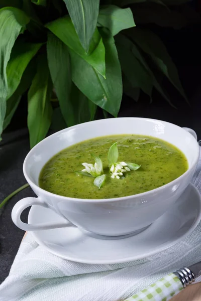 Zuppa di aglio selvatico — Foto Stock