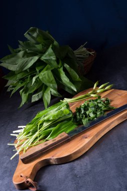 Allium ursinum tablo