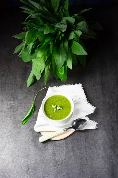 맛 있는 야생 마늘 수프 — 스톡 사진