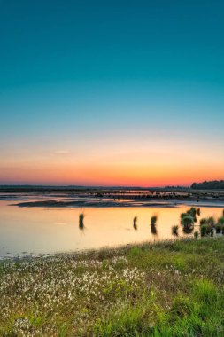 Kuzey Alman demirlemek alan