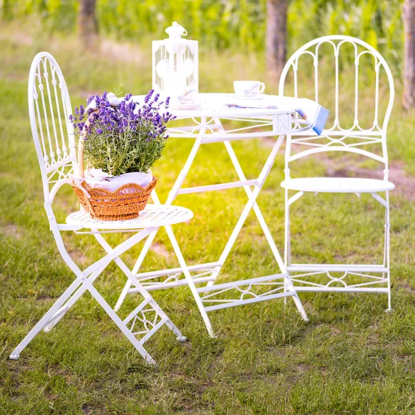 Lavendel in bloempot — Stockfoto