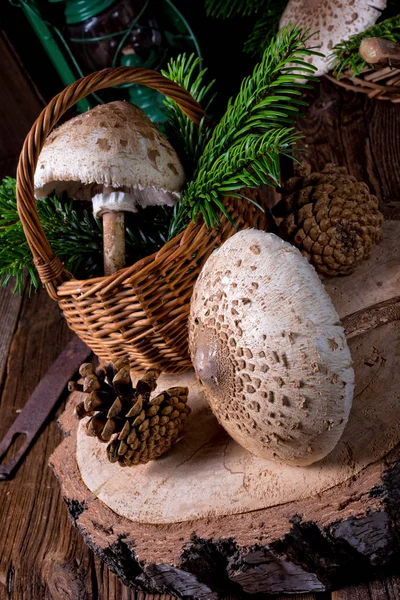 Parasol paddestoelen op houten stomp — Stockfoto