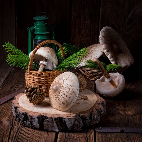 Parasol paddestoelen op houten stomp — Stockfoto