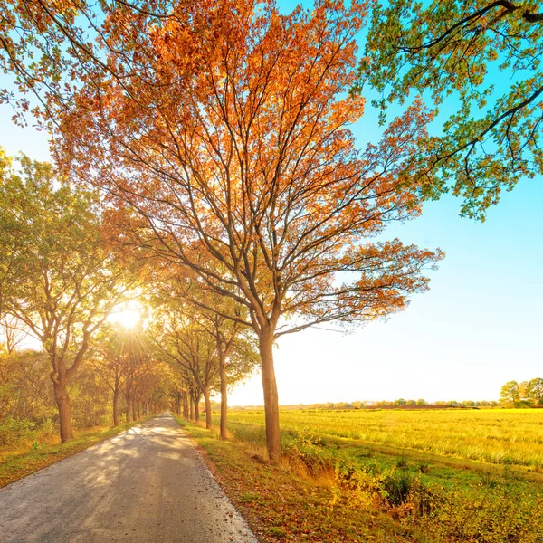 East Frisia park — Stock Photo, Image