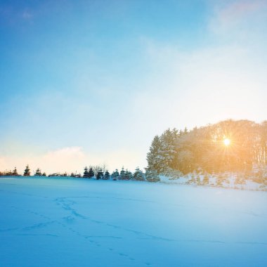 güzel Park Hochsauerland kışın
