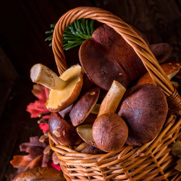 Forest mushroom in wicker basket — Stock Photo, Image