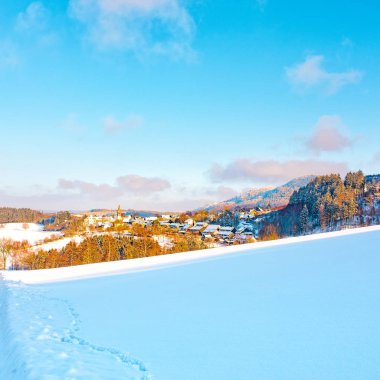 güzel Park Hochsauerland kışın