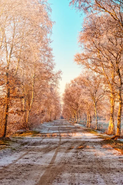 East Frisia park — Stock Photo, Image