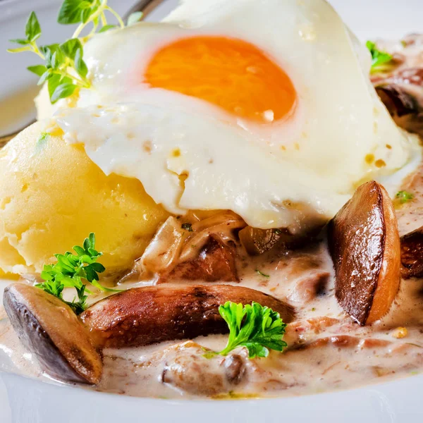 Champiñones con patata y huevo escalfado en plato — Foto de Stock