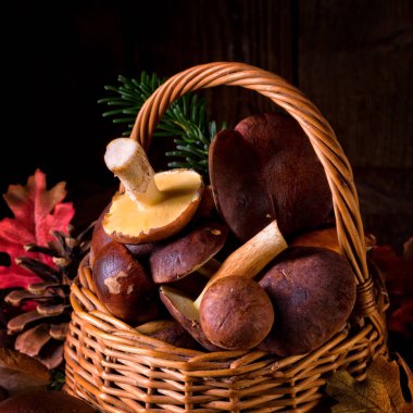 hasır sepet içinde orman mantar