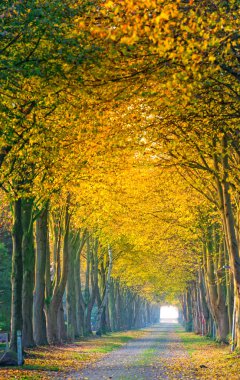 East Frisia park