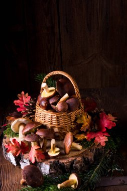 hasır sepet içinde orman mantar