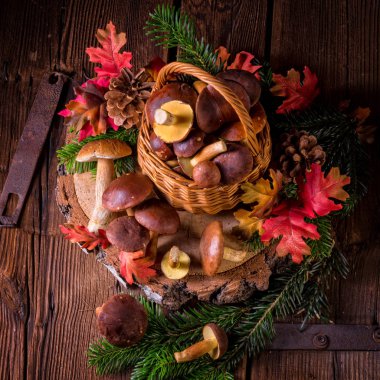 hasır sepet içinde orman mantar