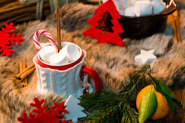 Heiße Schokolade mit Marshmallow — Stockfoto