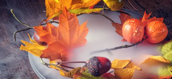 plaka üzerinde sonbahar yaprakları 