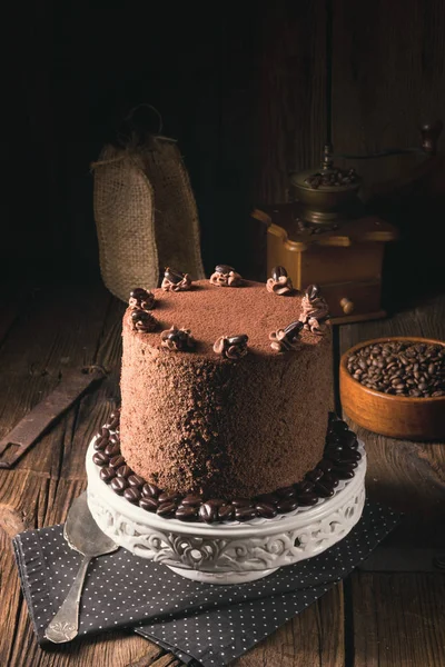 美味的巧克力派 — 图库照片