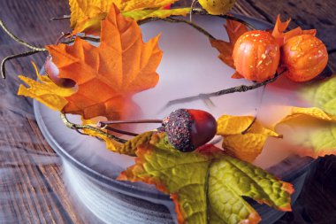 plaka üzerinde sonbahar yaprakları 