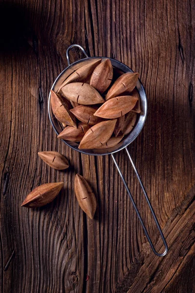 Metalik süzgeç hayalarına pili