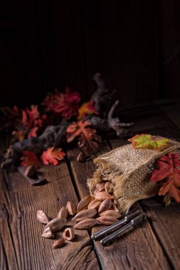 çul çanta pili fındık ile ters