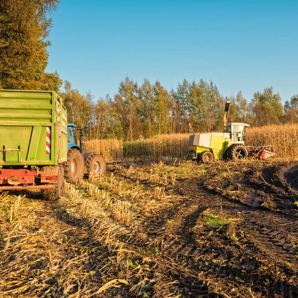 Cars on agricultural field — Stock Photo, Image
