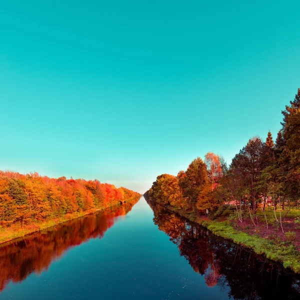 Красивый осенний лес возле реки — стоковое фото
