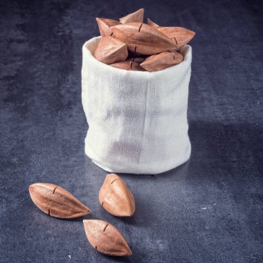 Canarium ovatum fındık
