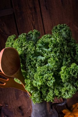 Kale Brassica oleracea 