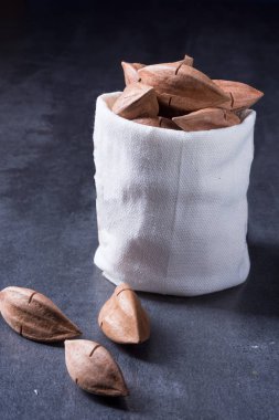 Canarium ovatum fındık