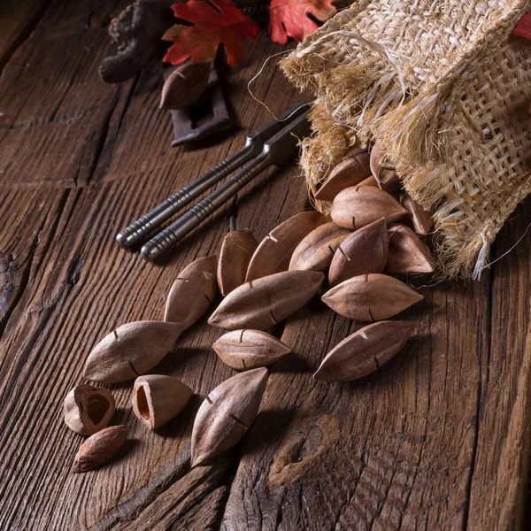 Canarium ovatum nuts — Stock Photo, Image