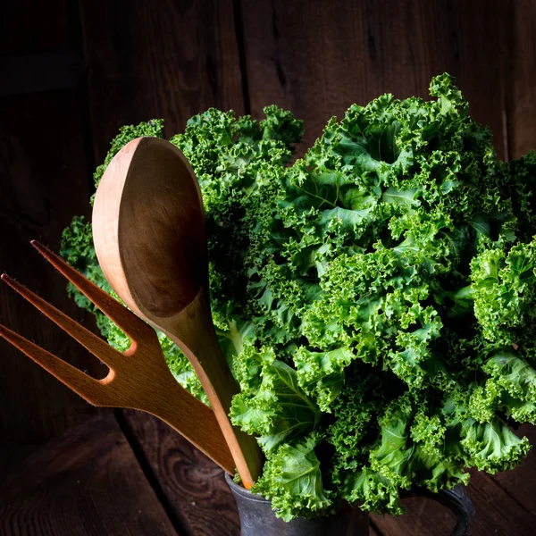 Kale Brassica oleracea — Stock Photo, Image