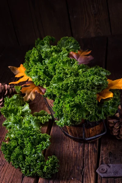 Couve Brassica oleracea — Fotografia de Stock