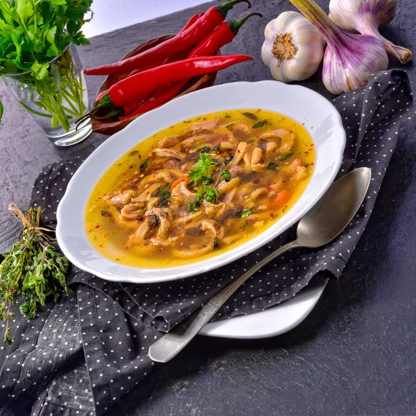 Tasty Polish Flaczki, delicious Tripe soup (traditional Polish meat stew) — Stock Image Tasty Polish Flaczki Delicious Tripe Soup Traditional Polish Meat Stew Stock Picture