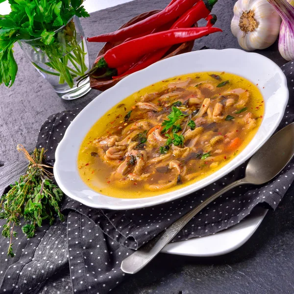 Sabroso Flaczki Polaco Deliciosa Sopa Tripe Tradicional Estofado Carne Polaca —  Fotos de Stock